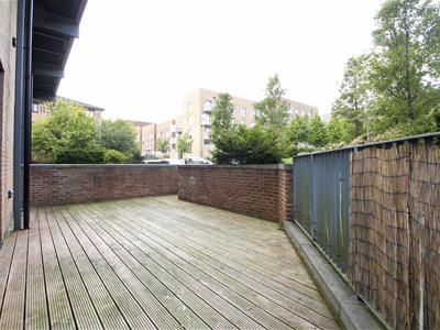 Picture 13